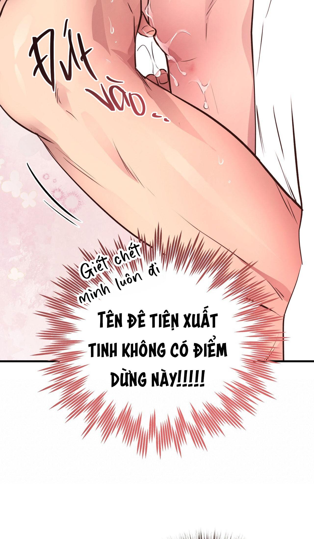 MẬT GẤU Chapter 29 - Next Chapter 30 END SS1