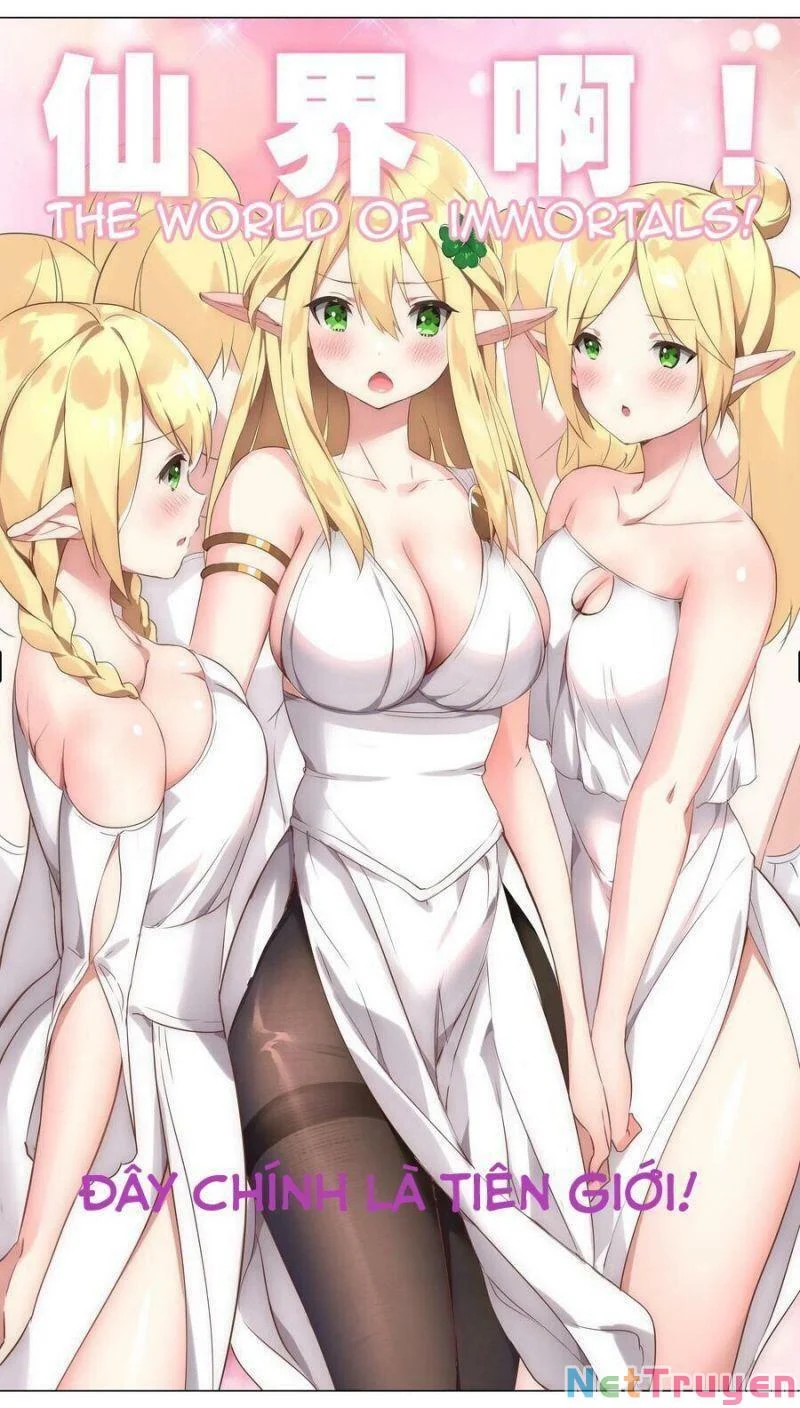 My Harem Grew So Large, I Was Forced To Ascend Chapter 3 - Next Chapter 4