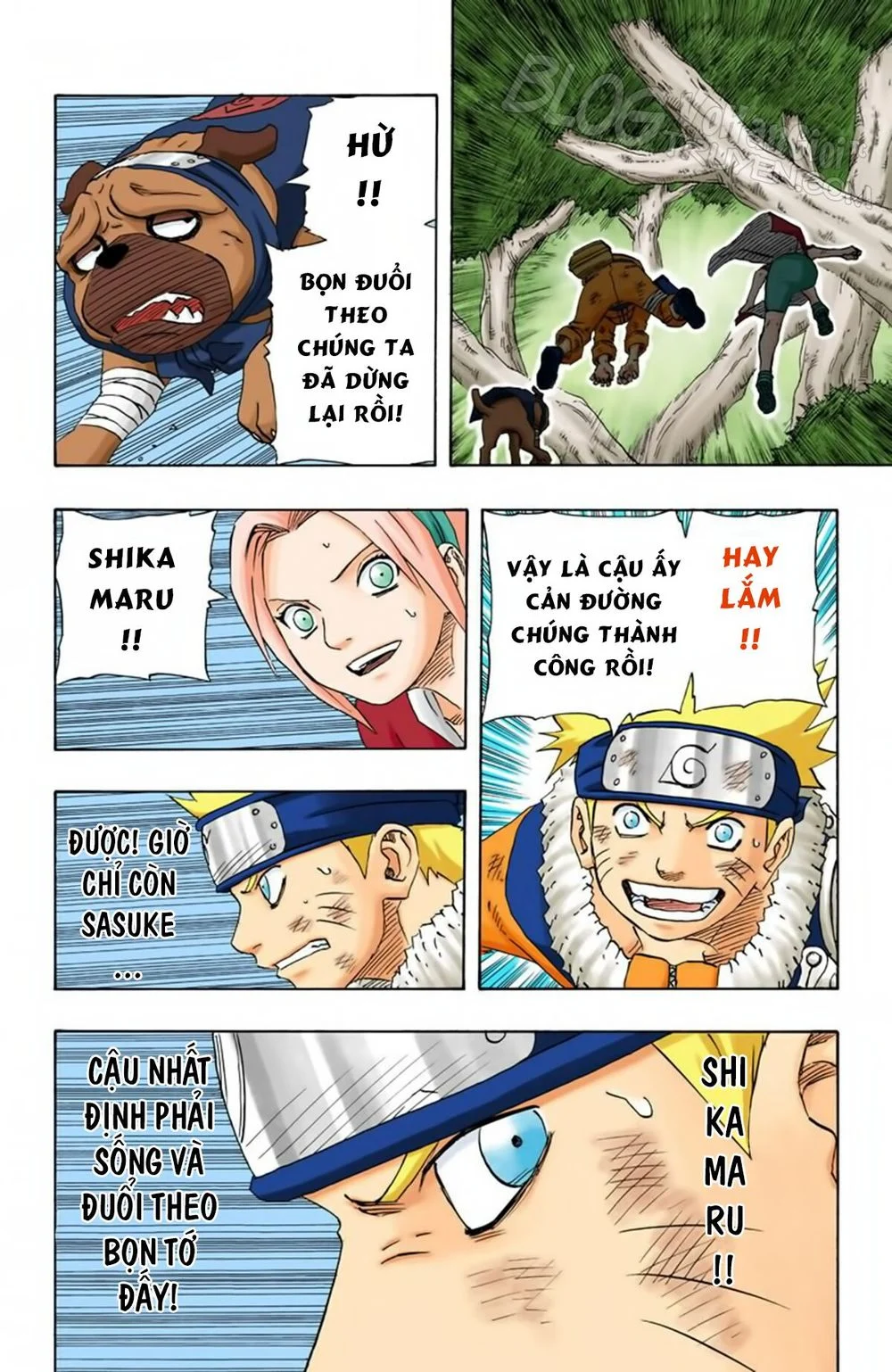 Naruto Full Color Edition Chapter 119 - Trang 2