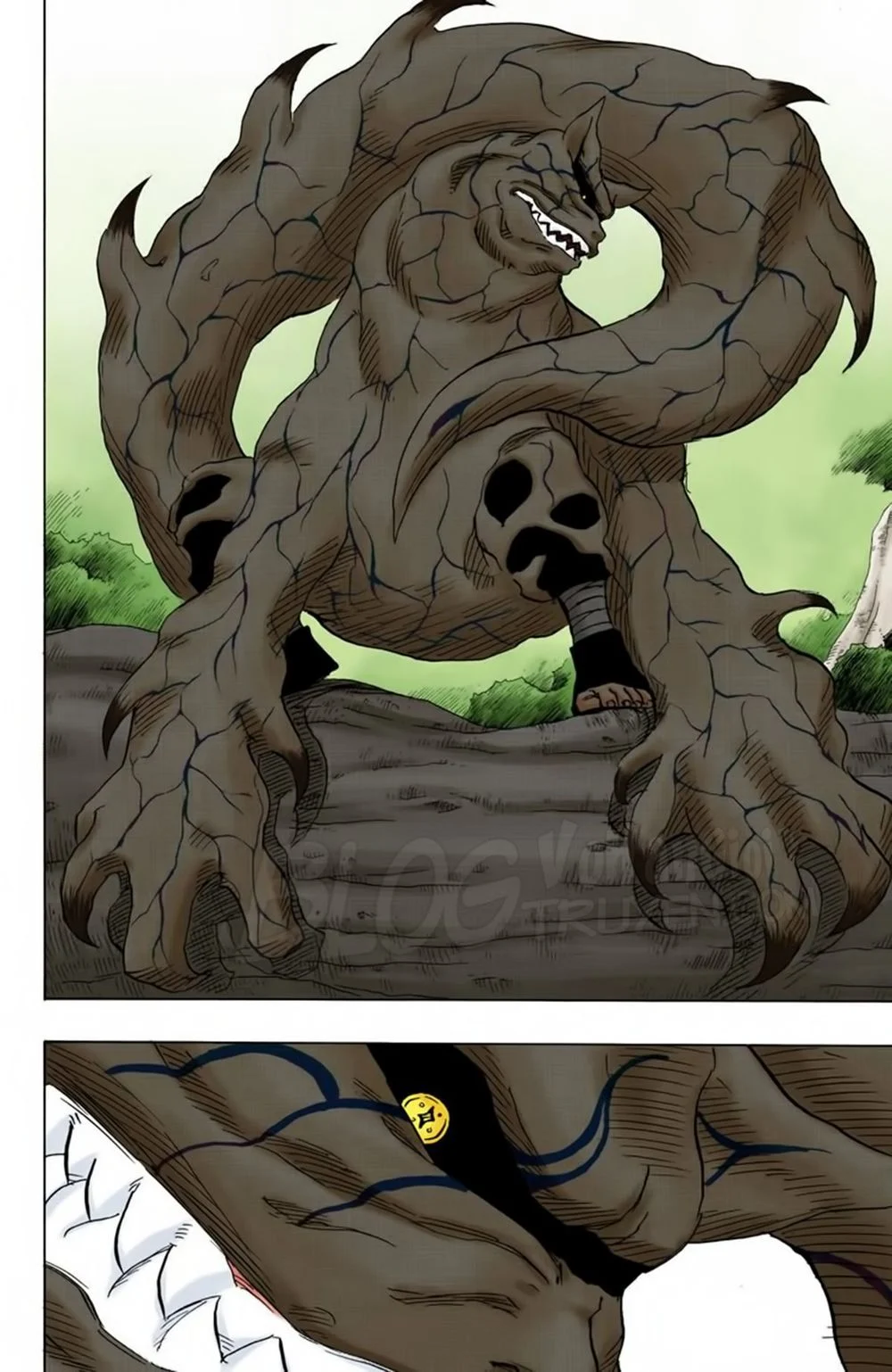 Naruto Full Color Edition Chapter 132 - Trang 2