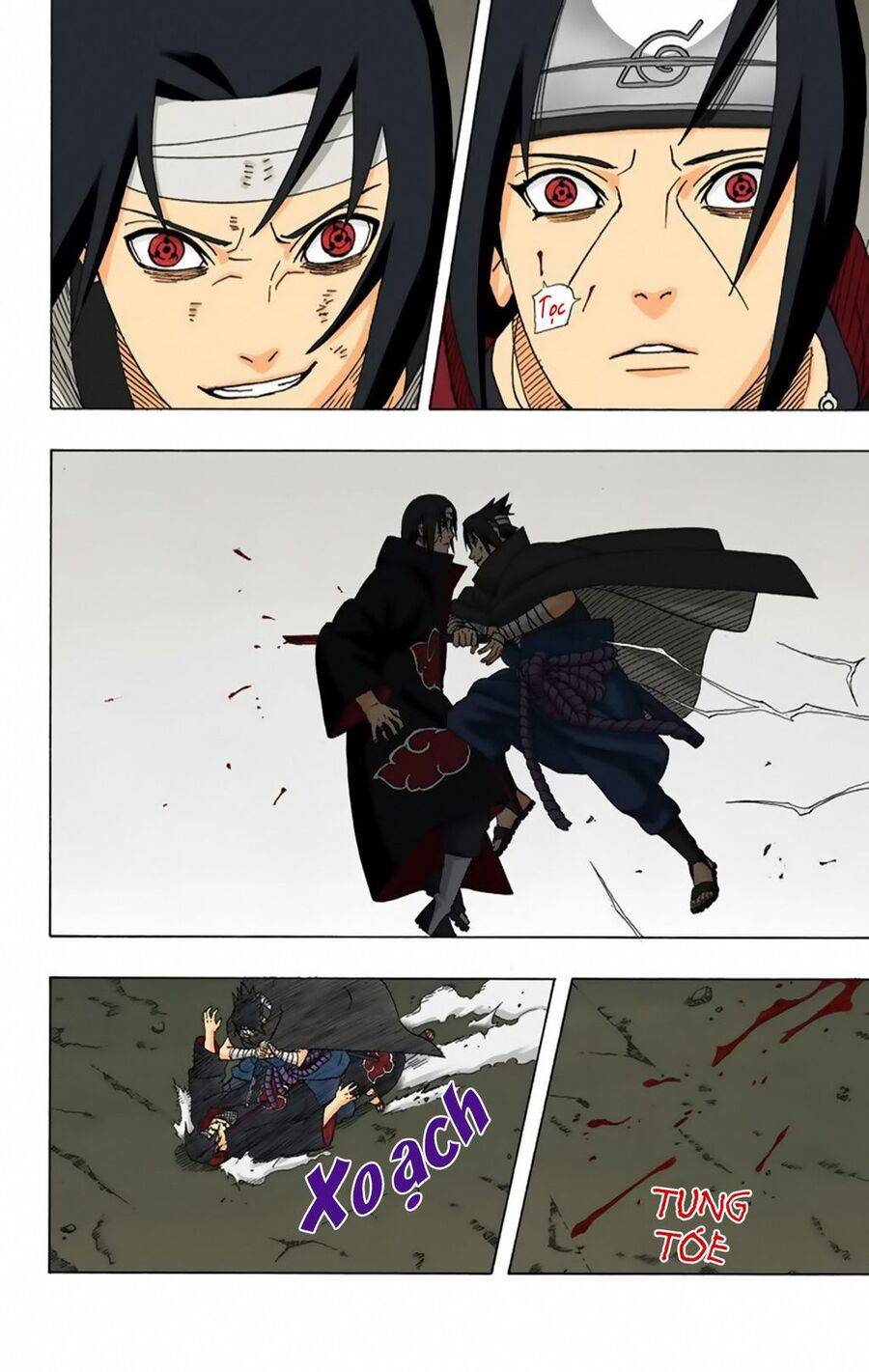 Naruto Full Color Edition Chapter 384 - Trang 2