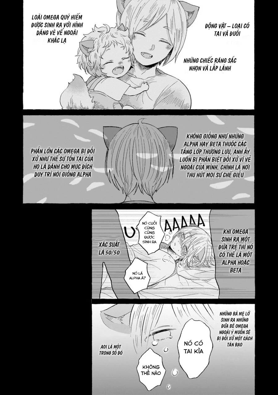 Neko Mimi Omegaverse: ChÆ°Æ¡ng 1