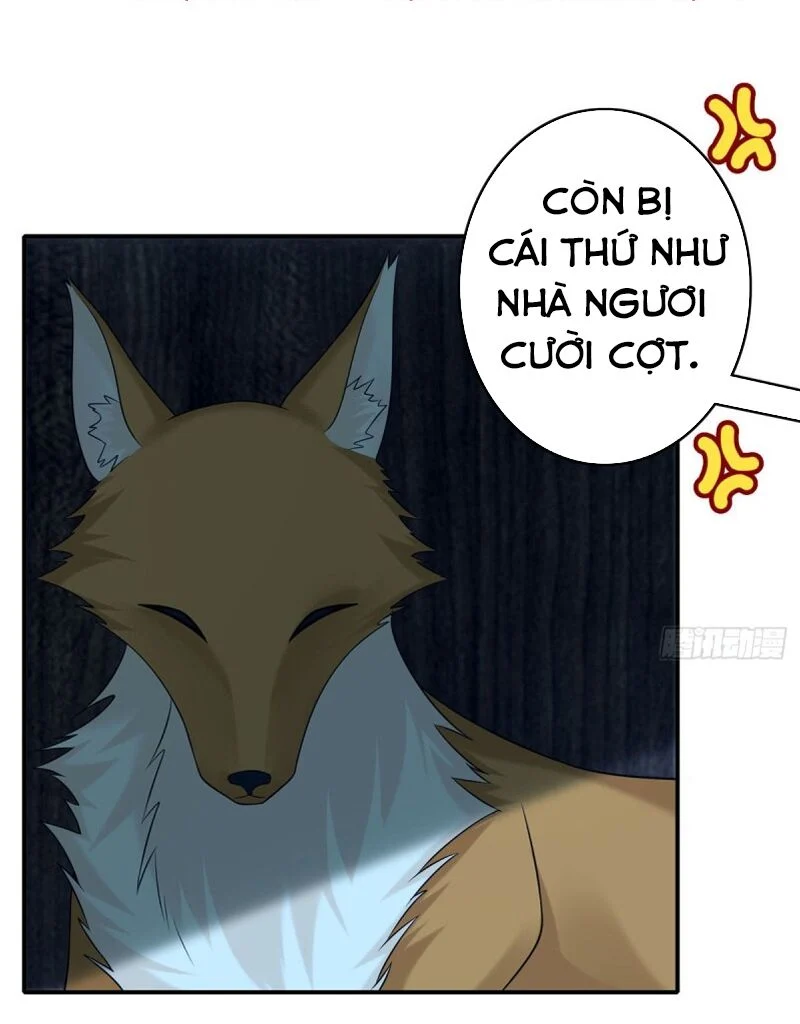 Người Đưa Thư Vô Hạn Chapter 81 - Next Chapter 82