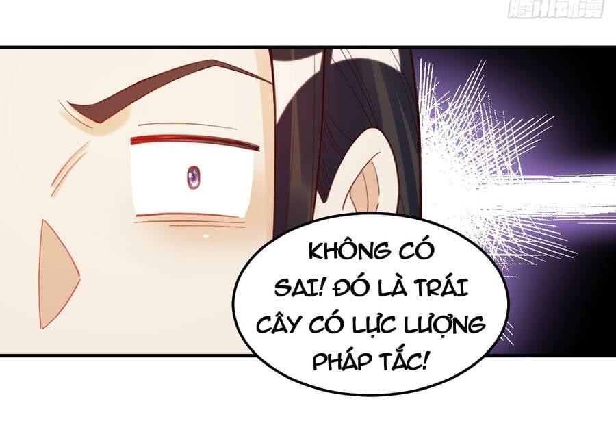 nguyên lai ta là tu tiên đại lão Chapter 205 - Next chapter 206