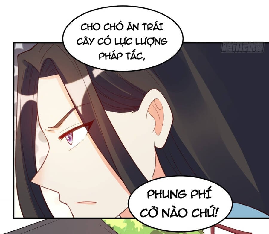 nguyên lai ta là tu tiên đại lão Chapter 205 - Next chapter 206