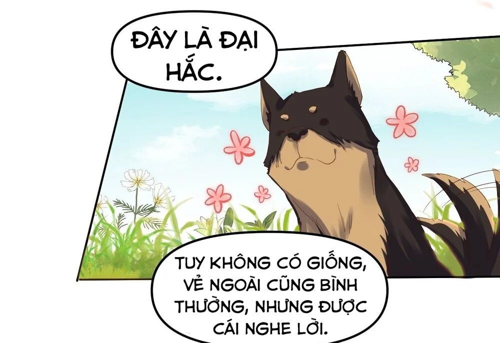 Nguyên Lai Ta Là Tu Tiên Đại Lão Chapter 21 - Trang 4