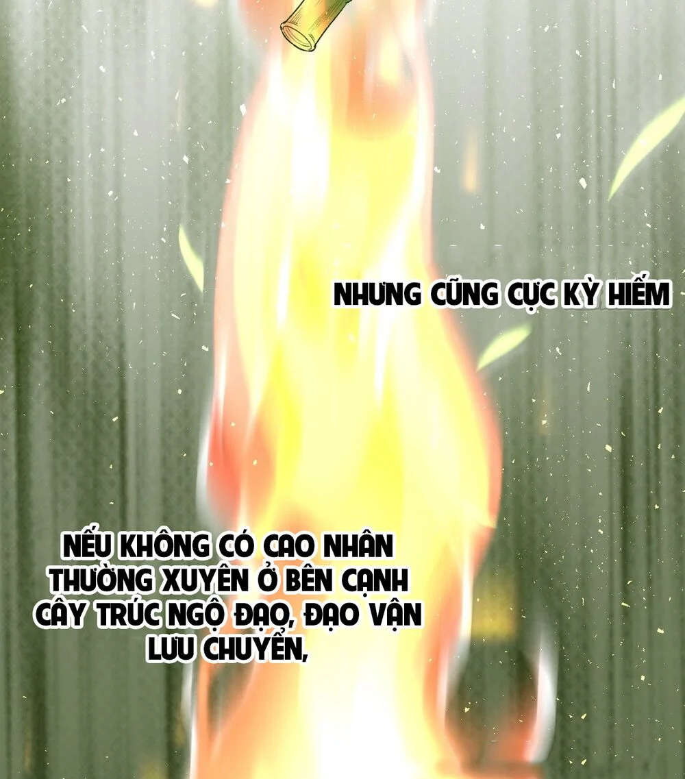 nguyên lai ta là tu tiên đại lão Chapter 30 - Next chapter 31