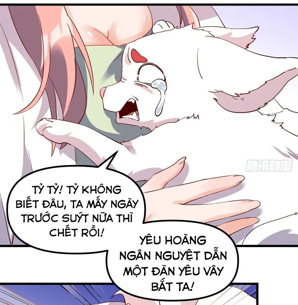 nguyên lai ta là tu tiên đại lão Chapter 41 - Next chapter 42