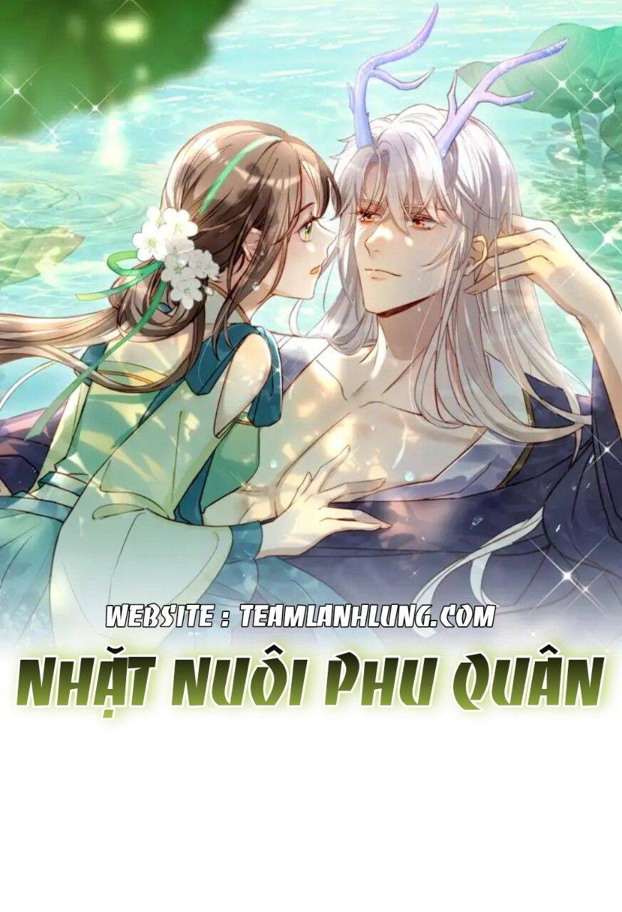 Nhặt Nuôi Phu Quân Chapter 5 - Trang 4