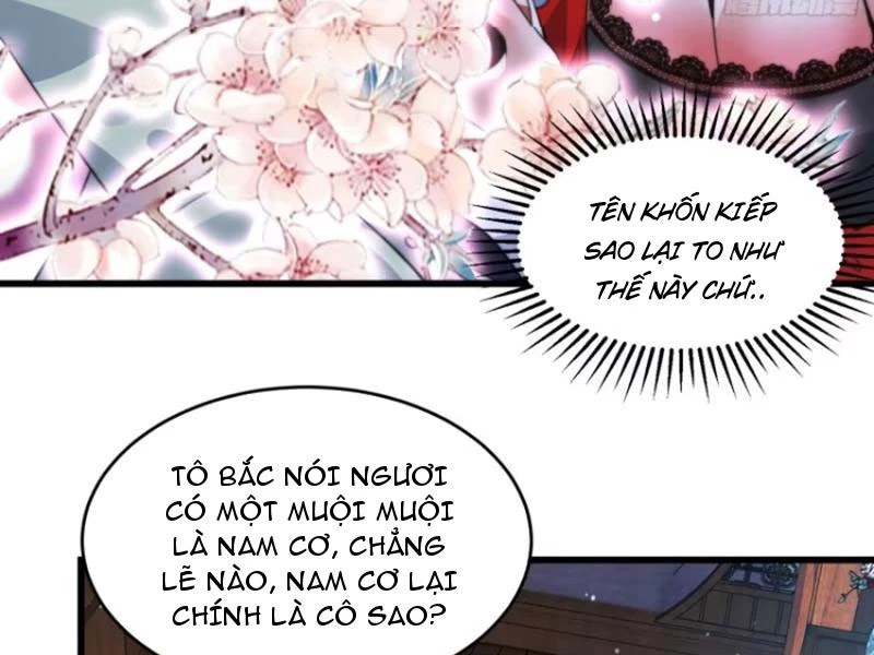 Nữ Đồ Đệ Ai Nấy Đều Muốn Giết Ta Chapter 176 - Trang 4