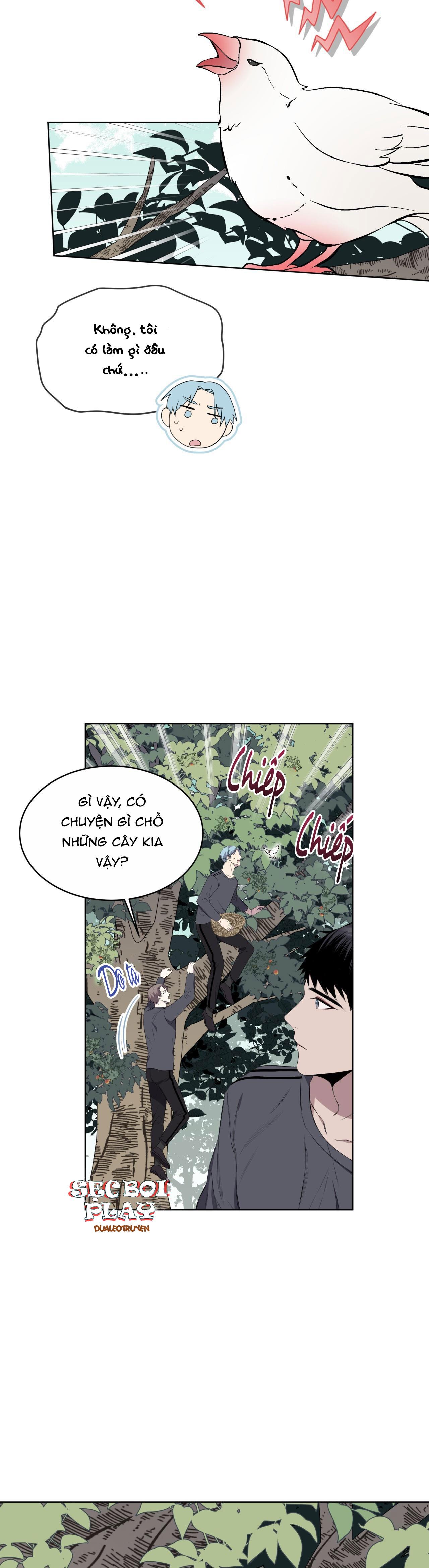 Rừng Biển Chapter 24 - Next Chapter 25