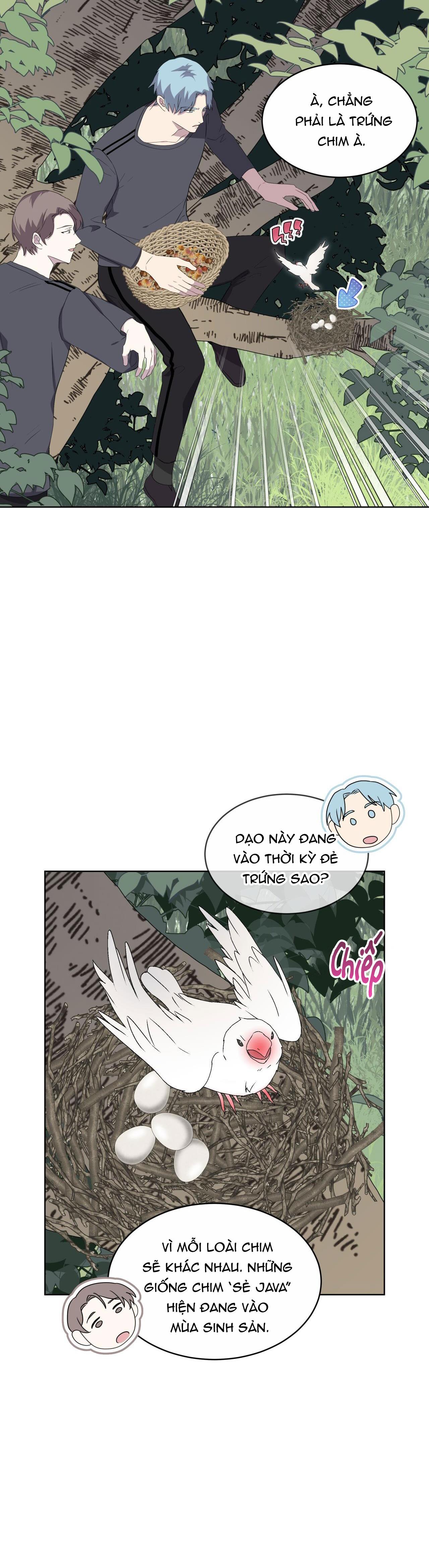 Rừng Biển Chapter 24 - Next Chapter 25