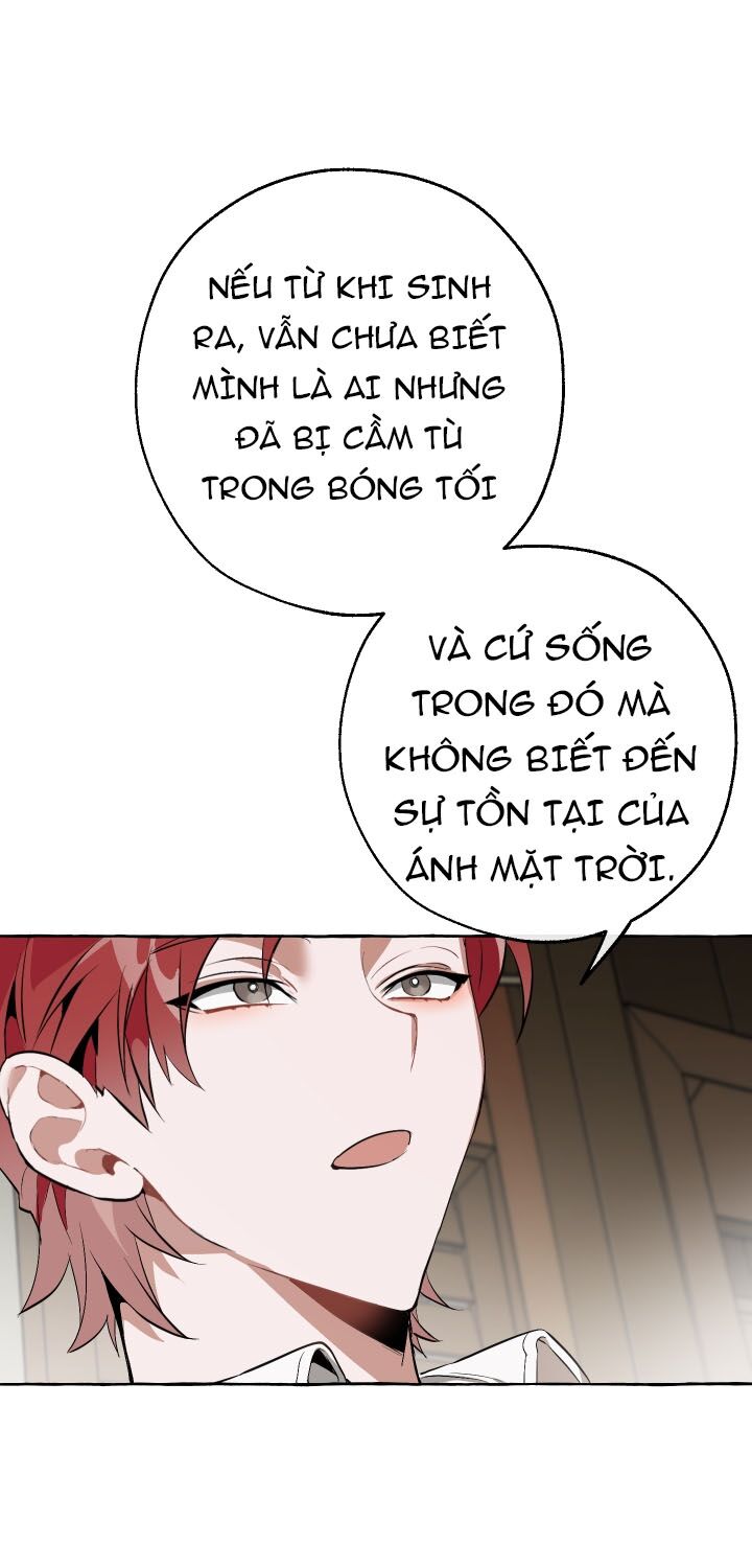 sự ra đời của một anh hùng Chapter 17 - Next chapter 18