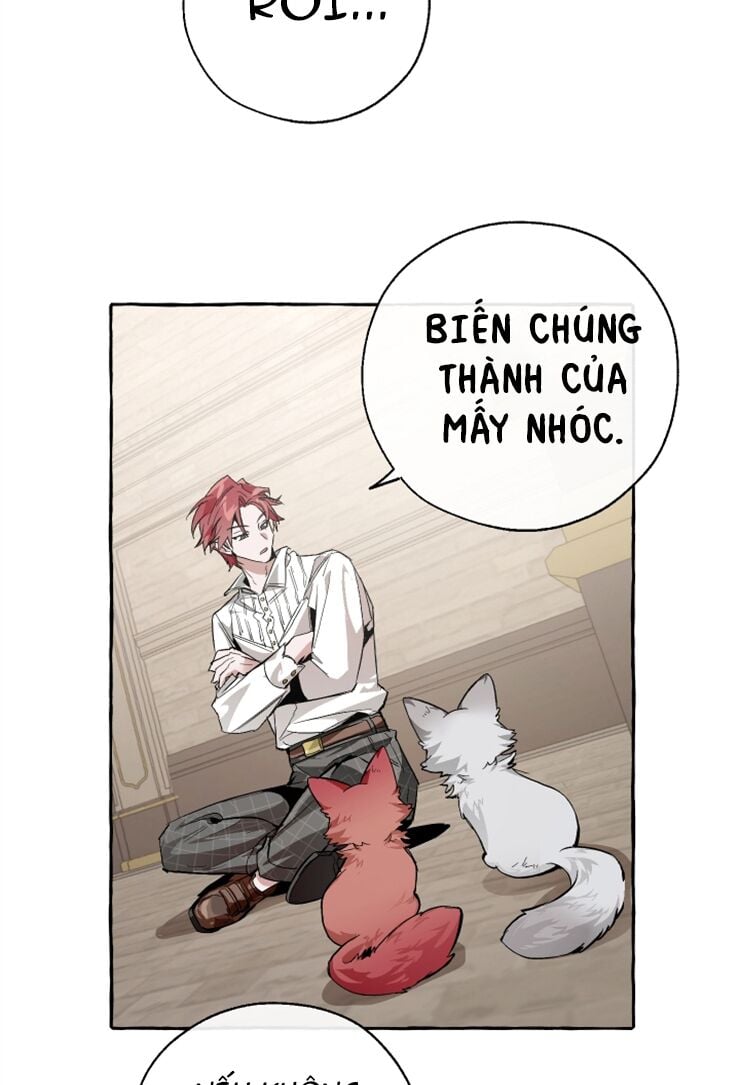 sự ra đời của một anh hùng Chapter 34 - Next chapter 35