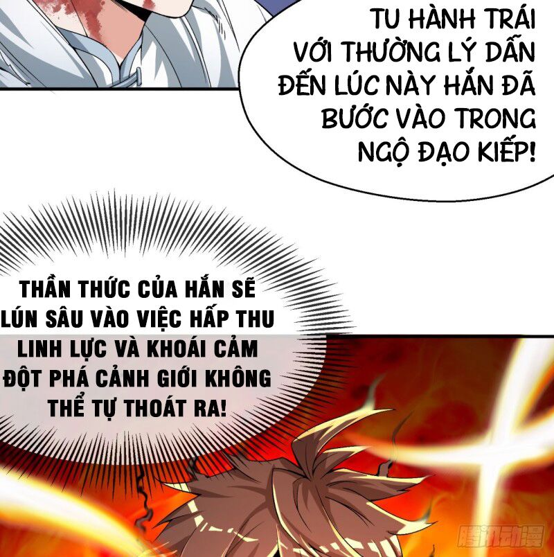 Ta Nhặt Được Thuộc Tính Tại Tu Chân Giới Chapter 39 - Next 