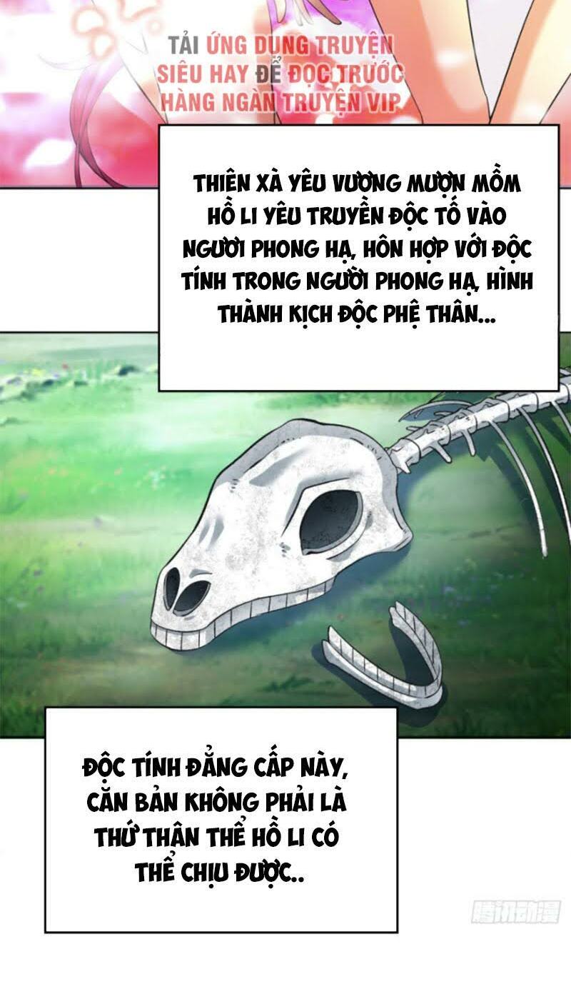 Ta Nhặt Được Thuộc Tính Tại Tu Chân Giới Chapter 74 - Next 