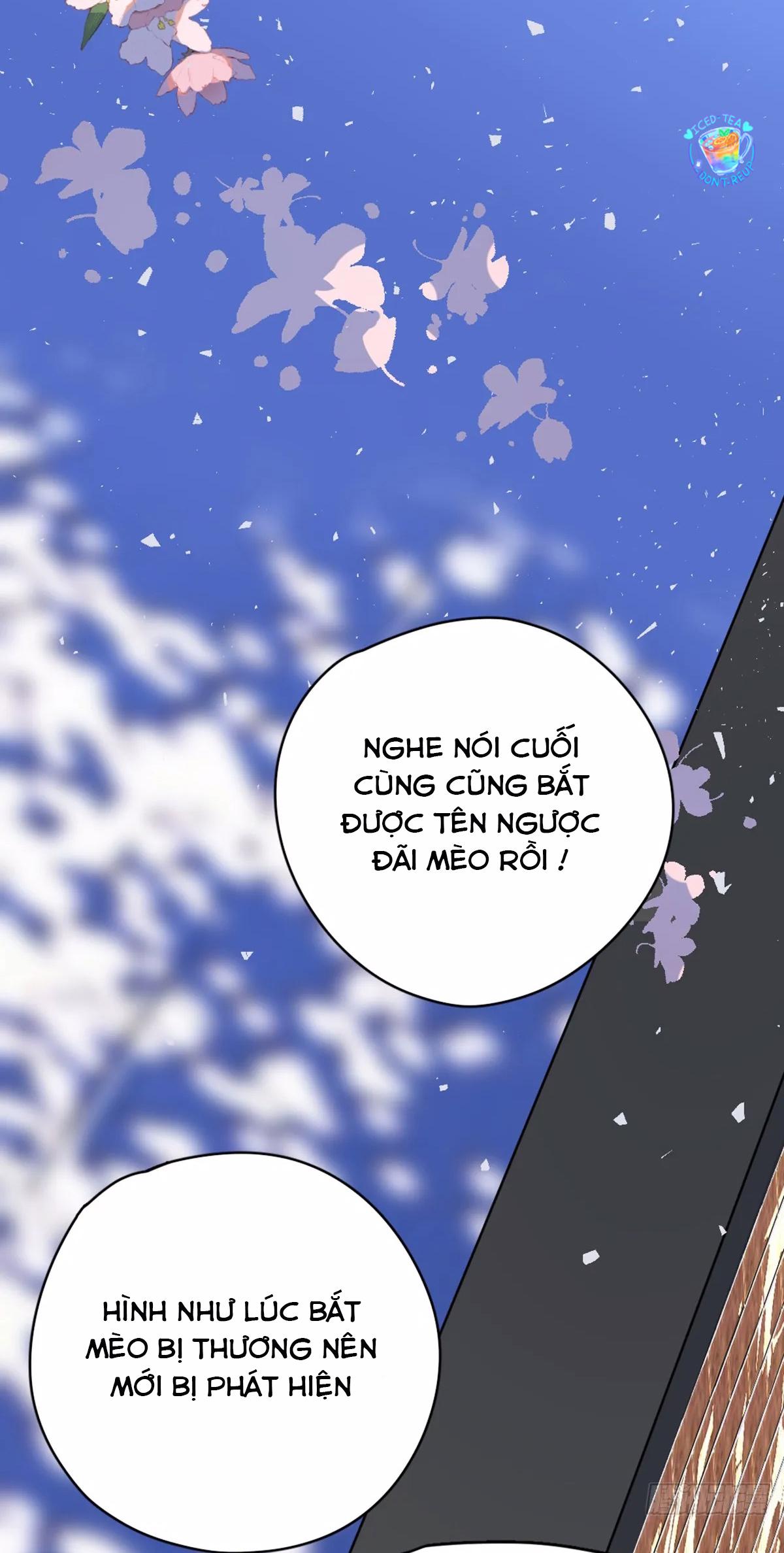 Tà thần của riêng tôi Chapter 9.5 - Trang 2