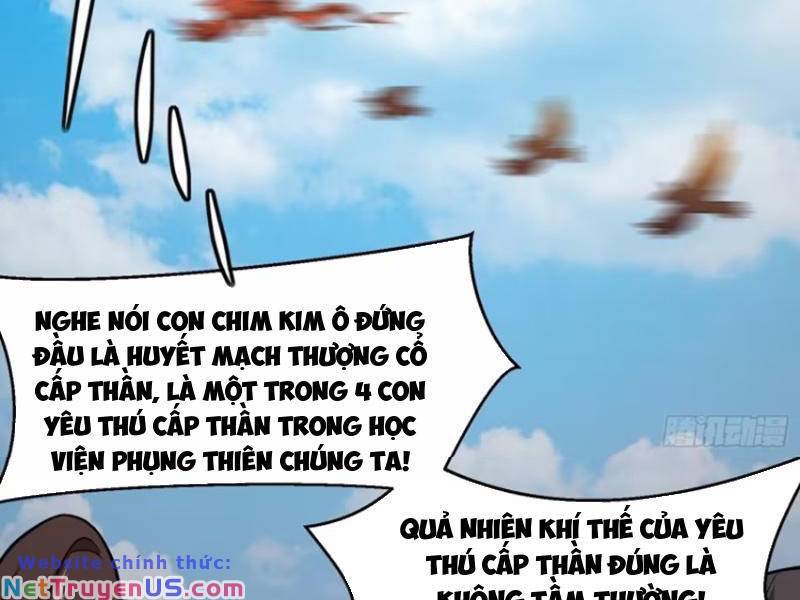 Thái Cổ Yêu Thánh Lấy Ta Làm Lô Đỉnh Chapter 13 - Trang 4