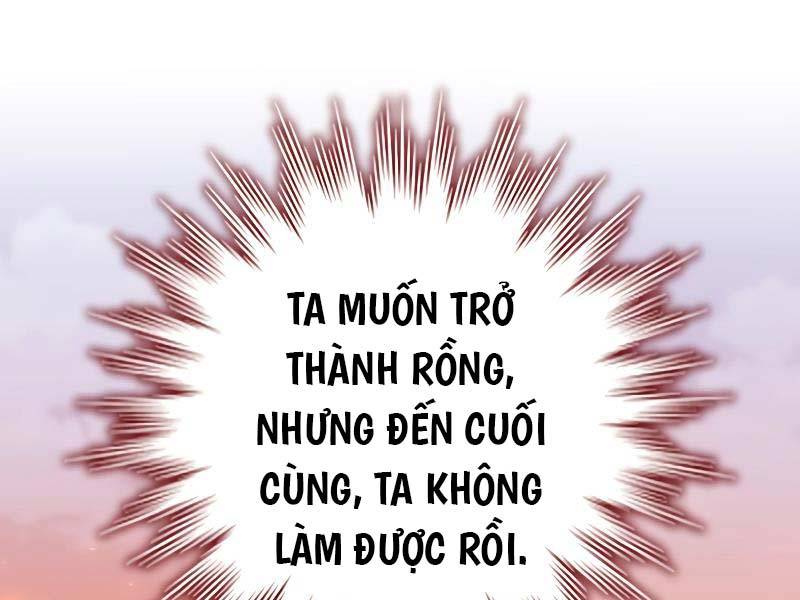 thực long ma pháp sư Chapter 52 - Next chương 53