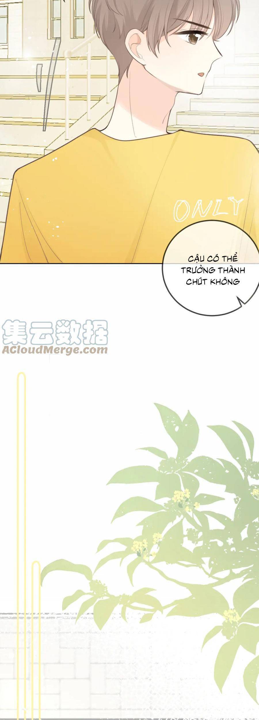 Tình Yêu Duy Nhất Của Tôi Chapter 24 - Trang 2