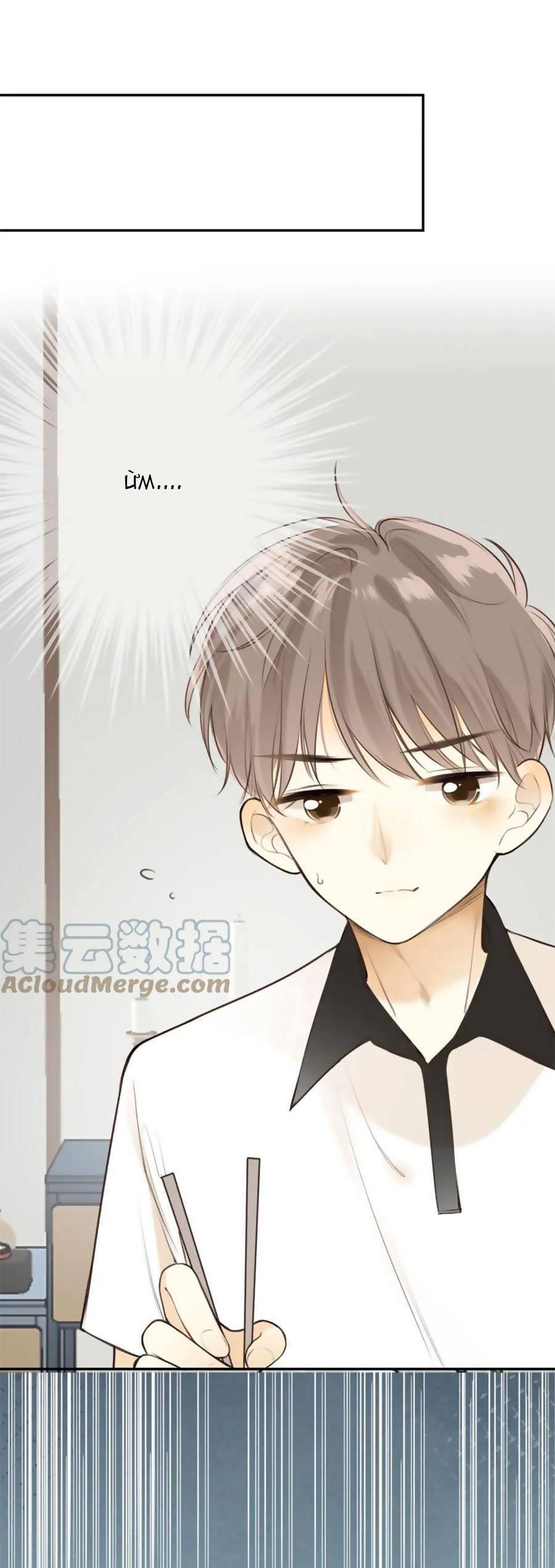 Tình Yêu Duy Nhất Của Tôi Chapter 39 - Next Chapter 39