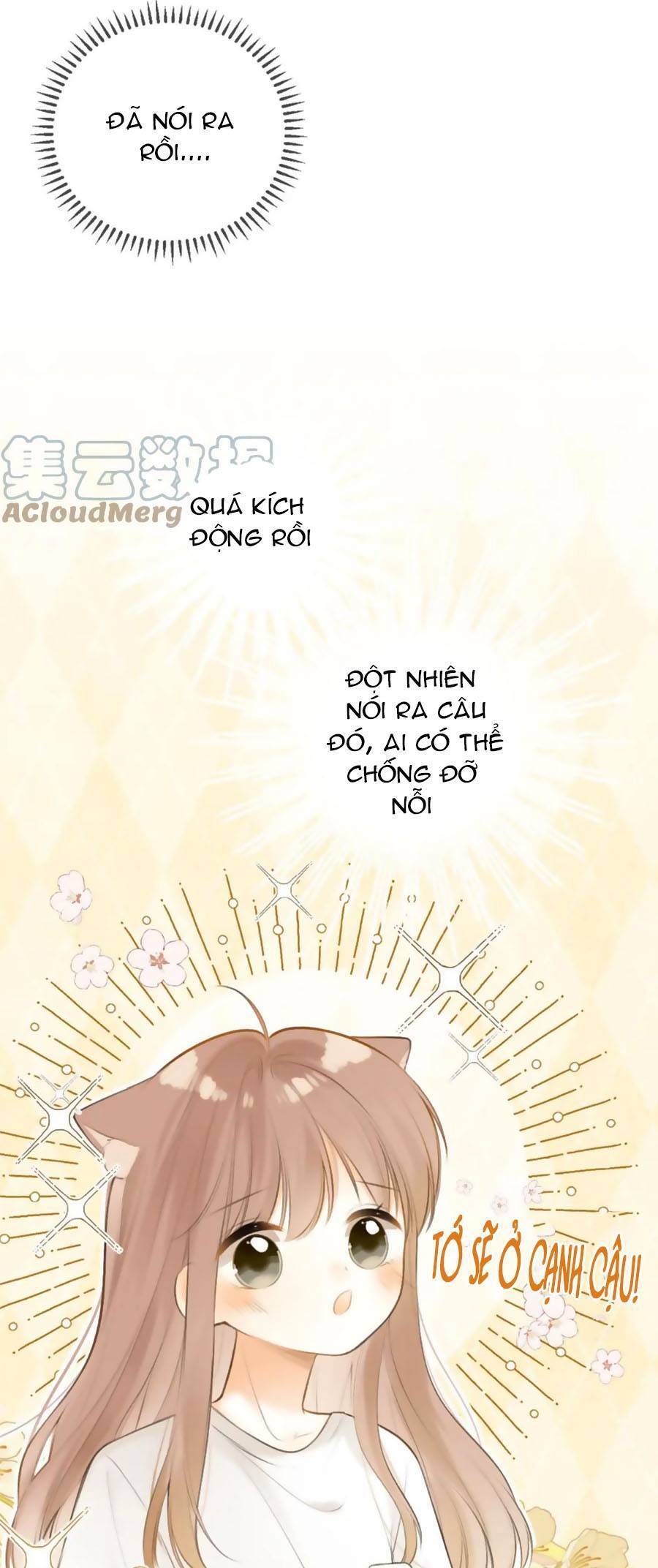 Tình Yêu Duy Nhất Của Tôi Chapter 40 - Next Chapter 40