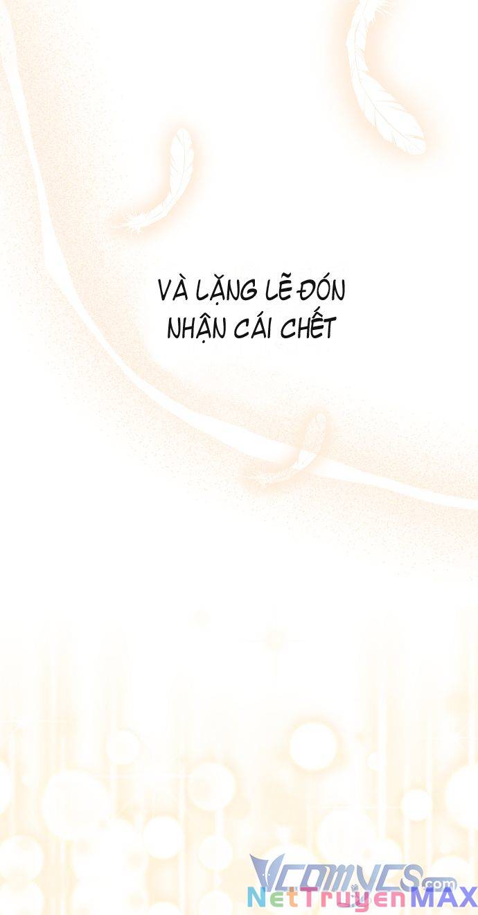 Tôi Không Cố Tình Quyến Rũ Anh Ấy Chapter 63 - Next Chapter 64