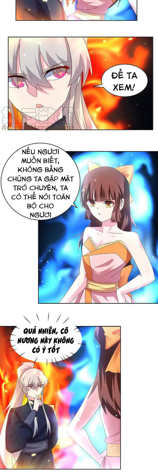 Tôn Thượng Chapter 238 - Trang 4