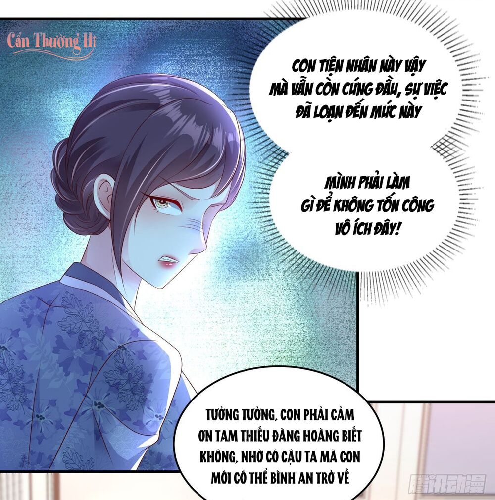 Trọng Sinh Trở Lại: Sủng Nịch Độc Nhất Vô Nhị Chapter 5 - Trang 4