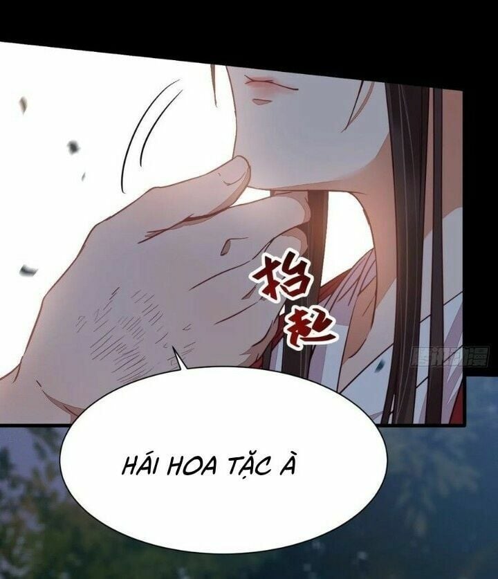 Tuyệt Sắc Quyến Rũ: Quỷ Y Chí Tôn Chapter 285 - Trang 4