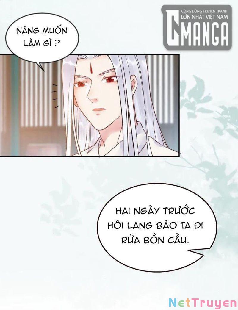 Tuyệt Sắc Quyến Rũ: Quỷ Y Chí Tôn Chapter 454 - Trang 4