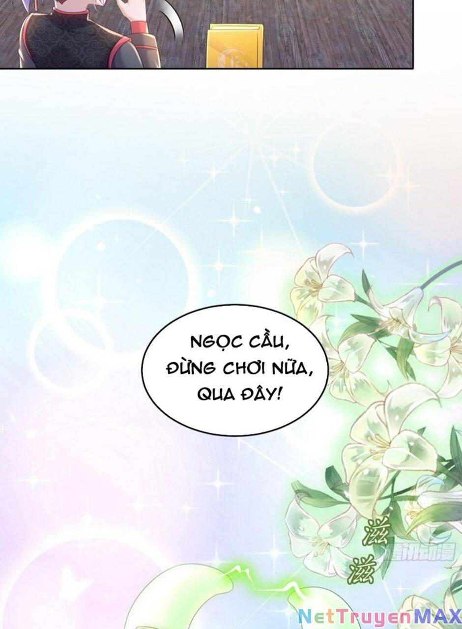 Tuyệt Thế Đạo Lữ Chapter 54 - Next Chapter 55