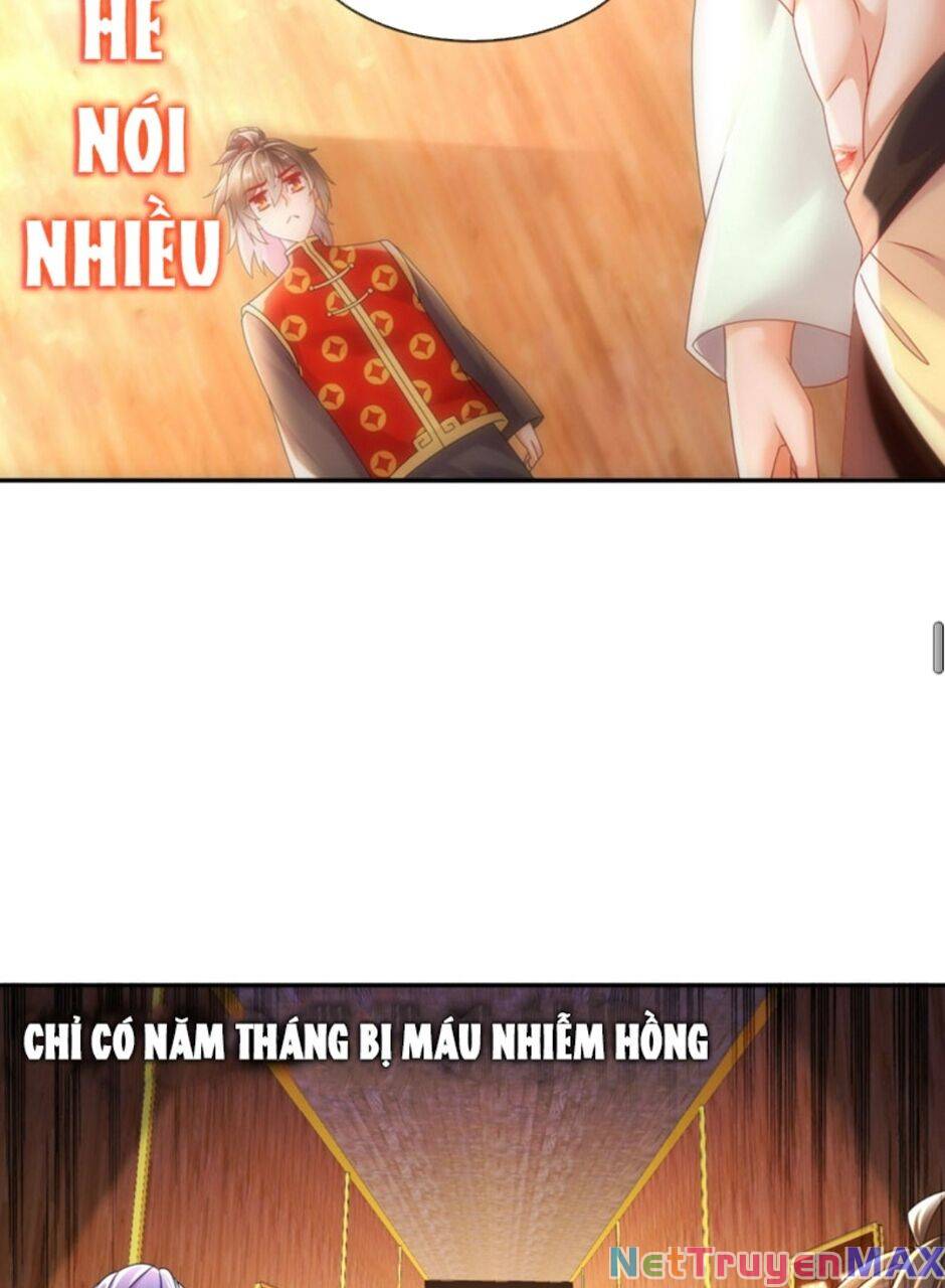 Tuyệt Thế Đạo Lữ Chapter 59 - Next Chapter 60