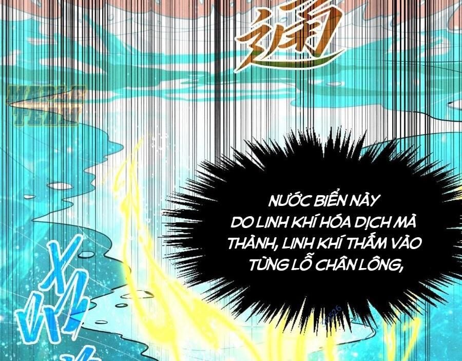 Vạn Cổ Chí Tôn Chapter 266 - Next Chapter 267