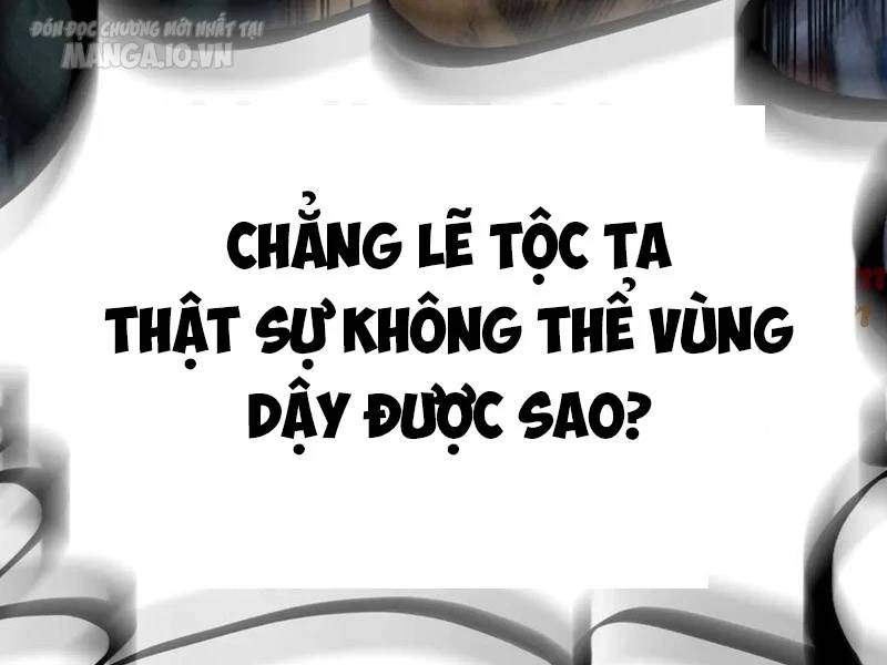 vạn cổ chí tôn Chapter 306 - Next Chương 307