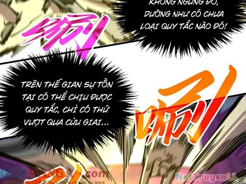 Vạn Cổ Chí Tôn Chapter 327 - Trang 4