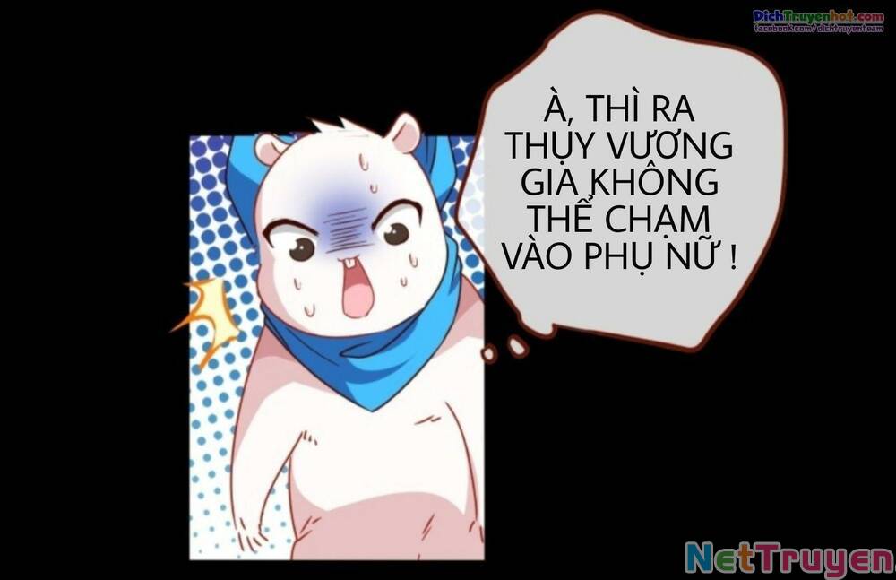 Vạn Tra Triêu Hoàng Chapter 240 - Trang 4