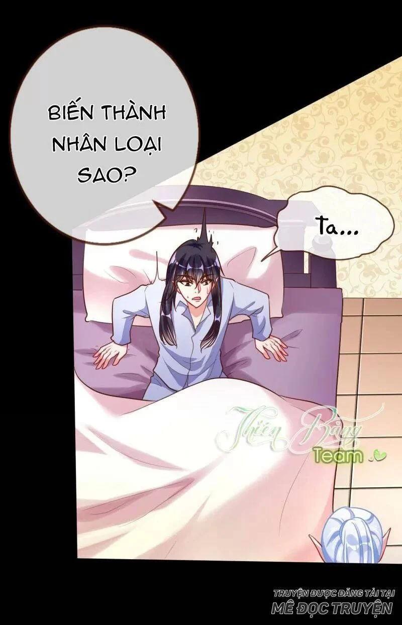 Vạn Tra Triêu Hoàng Chapter 58 - Next 