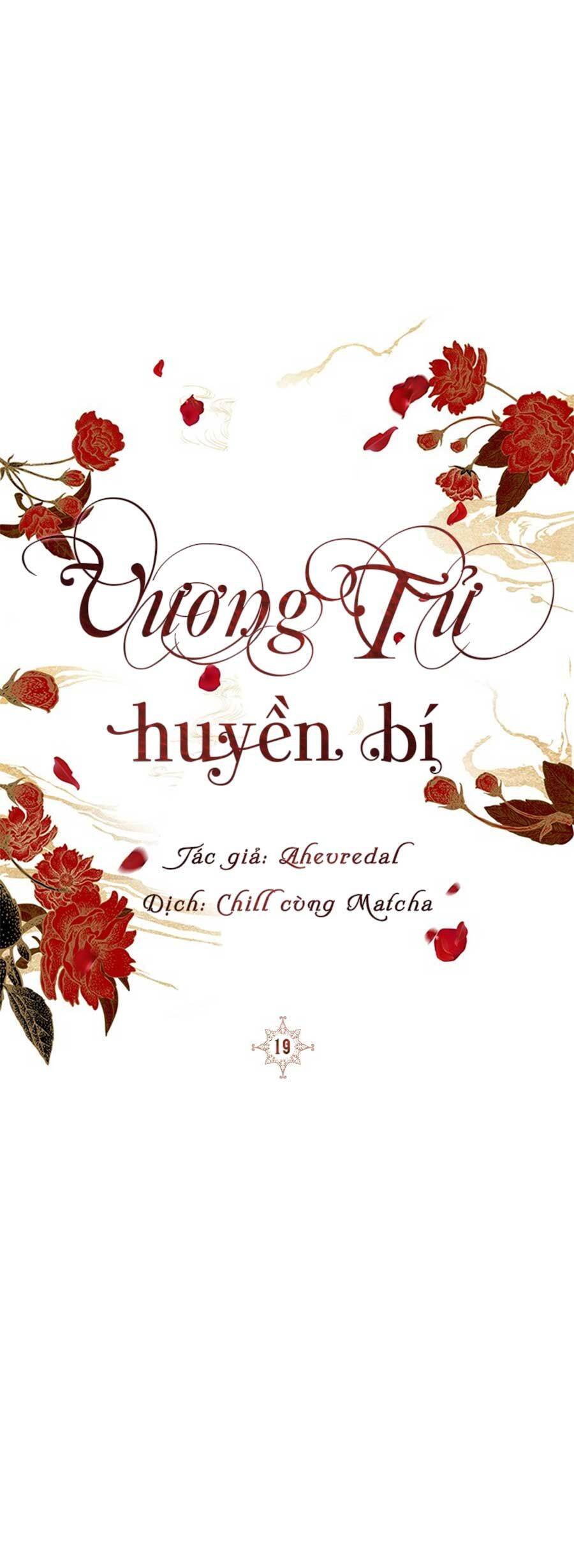 Vương Tử Huyền Bí Chapter 19 - Next Chapter 20